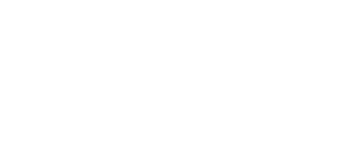 Logo footer